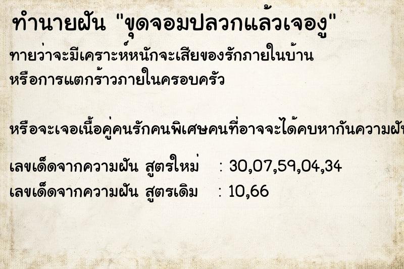 ทำนายฝันขุดจอมปลวกแล้วเจองู ทำนายฝันทำนายฝันขุดจอมปลวกแล้วเจองู