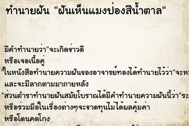 ทำนายฝัน ฝันเห็นแมงป่องสีน้ำตาล ทำนายฝัน ฝันเห็นแมงป่องสีน้ำตาล