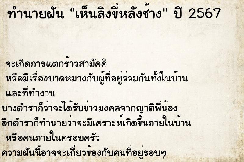 ทำนายฝันเห็นลิงขี่หลังช้าง ทำนายฝันทำนายฝันเห็นลิงขี่หลังช้าง