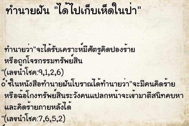ทำนายฝัน ได้ไปเก็บเห็ดในป่า ทำนายฝัน ได้ไปเก็บเห็ดในป่า