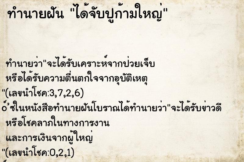 ทำนายฝันได้จับปูก้ามใหญ่ ทำนายฝันทำนายฝันได้จับปูก้ามใหญ่