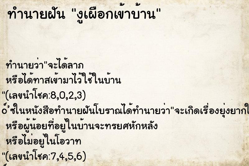 ทำนายฝันงูเผือกเข้าบ้าน ทำนายฝันทำนายฝันงูเผือกเข้าบ้าน