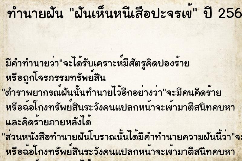 ทำนายฝันฝันเห็นหนีเสือปะจรเข้ ทำนายฝันทำนายฝันฝันเห็นหนีเสือปะจรเข้