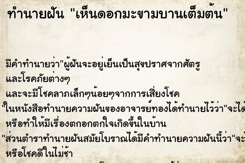 ทำนายฝัน เห็นดอกมะขามบานเต็มต้น ตำราโบราณ แม่นที่สุดในโลก