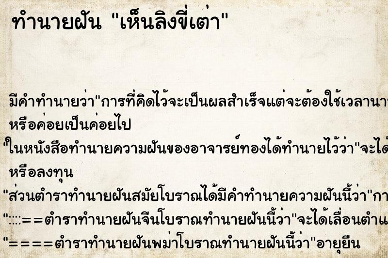 ทำนายฝันเห็นลิงขี่เต่า ทำนายฝันทำนายฝันเห็นลิงขี่เต่า