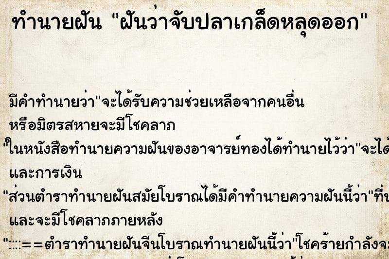 ทำนายฝัน ฝันว่าจับปลาเกล็ดหลุดออก ทำนายฝัน ฝันว่าจับปลาเกล็ดหลุดออก