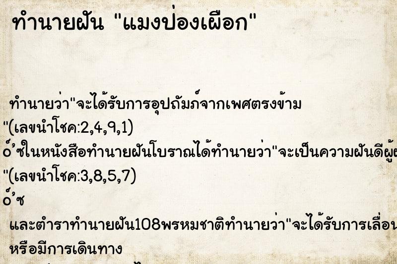 ทำนายฝันแมงป่องเผือก ทำนายฝันทำนายฝันแมงป่องเผือก