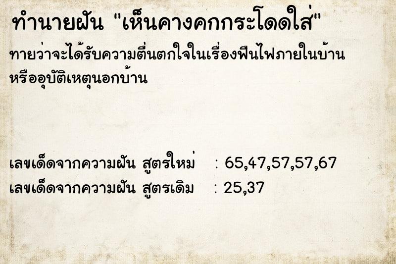 ทำนายฝัน เห็นคางคกกระโดดใส่ ทำนายฝัน เห็นคางคกกระโดดใส่