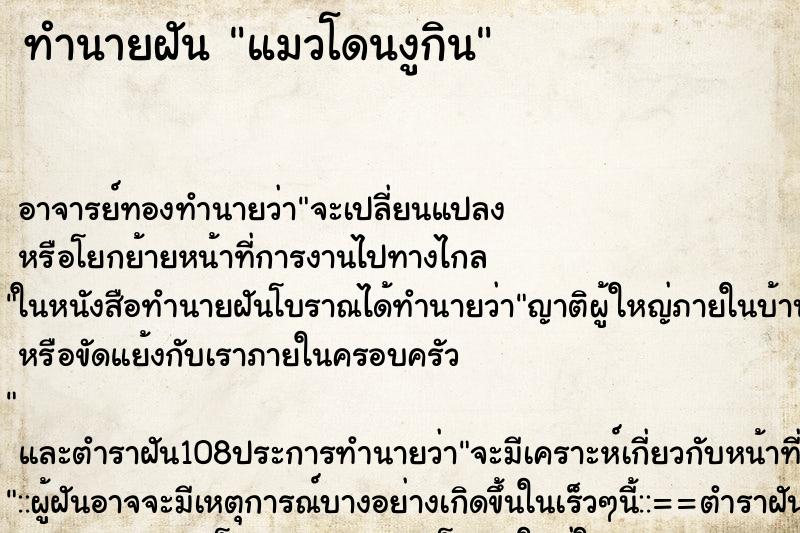 ทำนายฝัน แมวโดนงูกิน ทำนายฝัน แมวโดนงูกิน