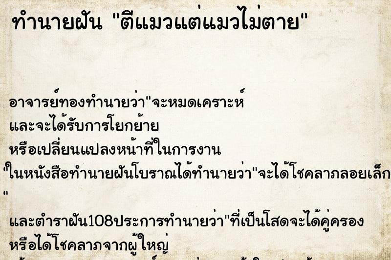 ทำนายฝัน ตีแมวแต่แมวไม่ตาย