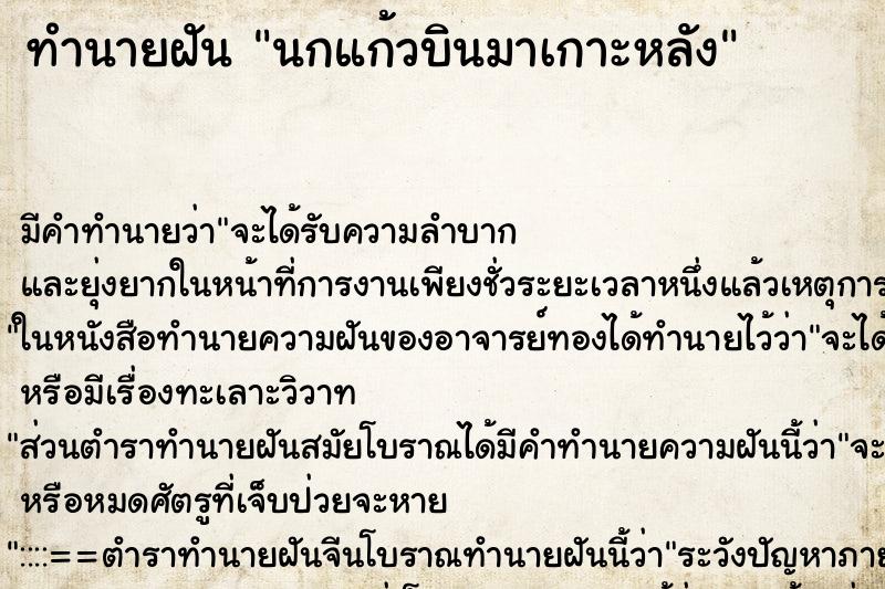 ทำนายฝัน นกแก้วบินมาเกาะหลัง