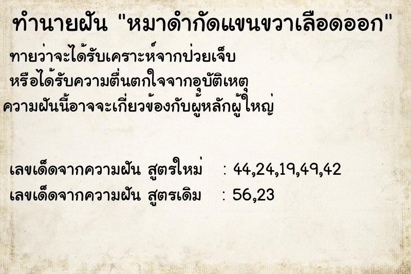 ทำนายฝัน หมาดำกัดแขนขวาเลือดออก ตำราโบราณ แม่นที่สุดในโลก