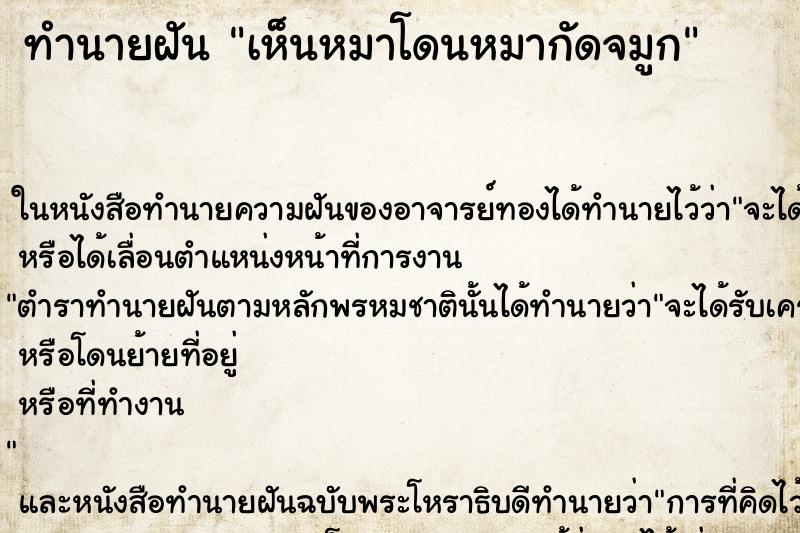 ทำนายฝัน เห็นหมาโดนหมากัดจมูก ทำนายฝัน เห็นหมาโดนหมากัดจมูก