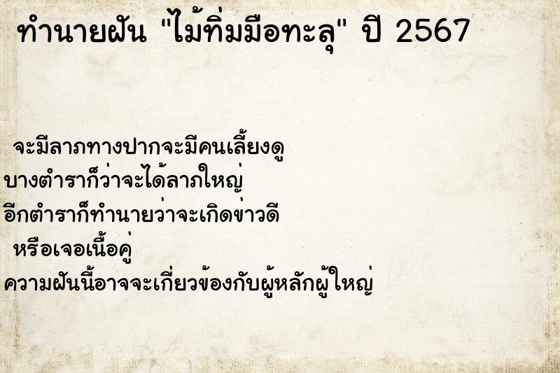 ทำนายฝัน ไม้ทิ่มมือทะลุ ทำนายฝัน ไม้ทิ่มมือทะลุ