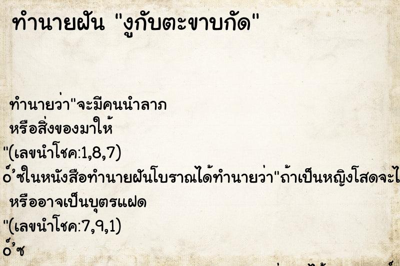 ทำนายฝัน งูกับตะขาบกัด ทำนายฝัน งูกับตะขาบกัด