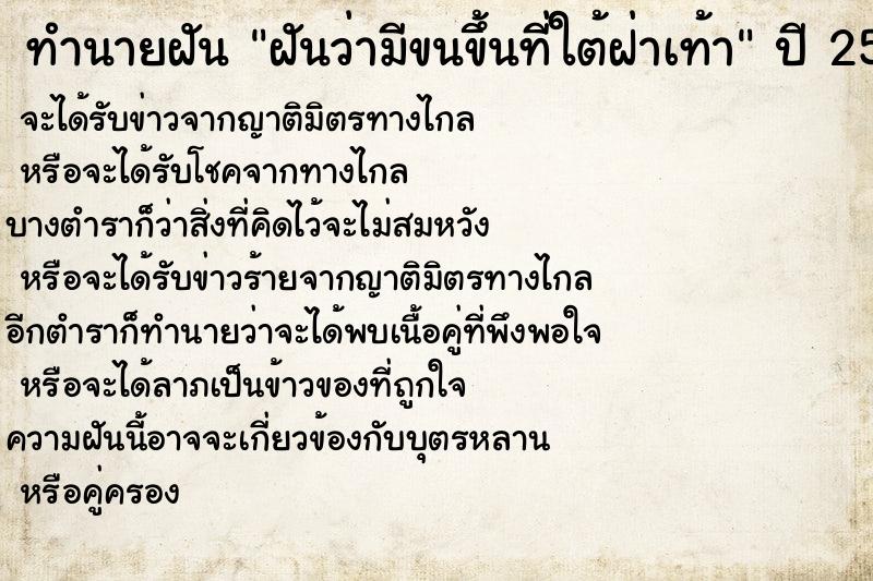 ทำนายฝัน ฝันว่ามีขนขึ้นที่ใต้ฝ่าเท้า ทำนายฝัน ฝันว่ามีขนขึ้นที่ใต้ฝ่าเท้า