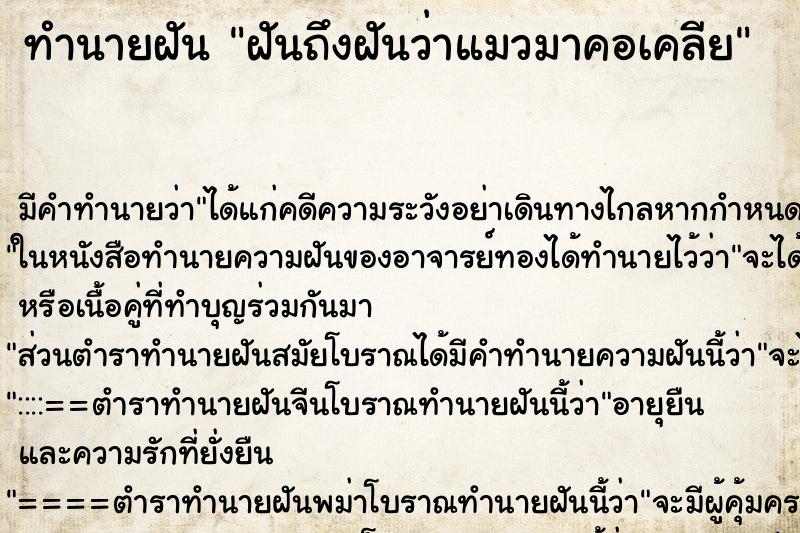 ทำนายฝัน ฝันถึงฝันว่าแมวมาคอเคลีย ทำนายฝัน ฝันถึงฝันว่าแมวมาคอเคลีย