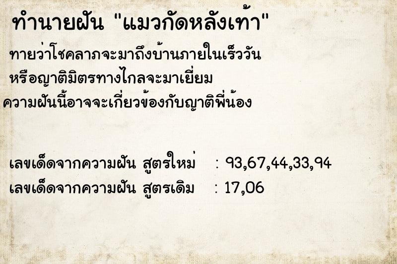 ทำนายฝันทำนายฝันแมวกัดหลังเท้า