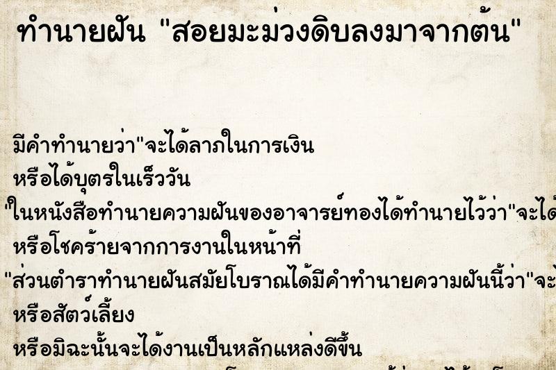ทำนายฝัน สอยมะม่วงดิบลงมาจากต้น ทำนายฝัน สอยมะม่วงดิบลงมาจากต้น