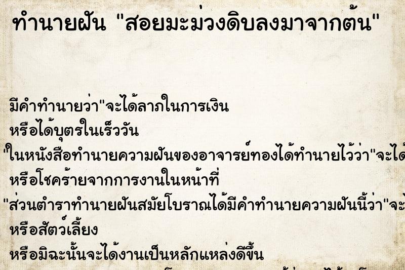 ทำนายฝัน สอยมะม่วงดิบลงมาจากต้น ตำราโบราณ แม่นที่สุดในโลก