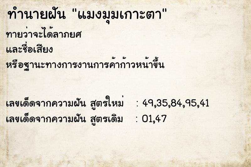 ทำนายฝัน แมงมุมเกาะตา ตำราโบราณ แม่นที่สุดในโลก