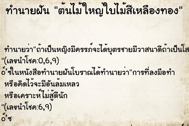 ทำนายฝัน ต้นไม้ใหญ่ใบไม้สีเหลืองทอง ทำนายฝัน ต้นไม้ใหญ่ใบไม้สีเหลืองทอง