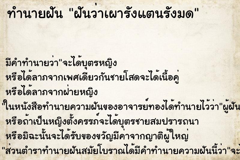 ทำนายฝันฝันว่าเผารังแตนรังมด ทำนายฝันทำนายฝันฝันว่าเผารังแตนรังมด