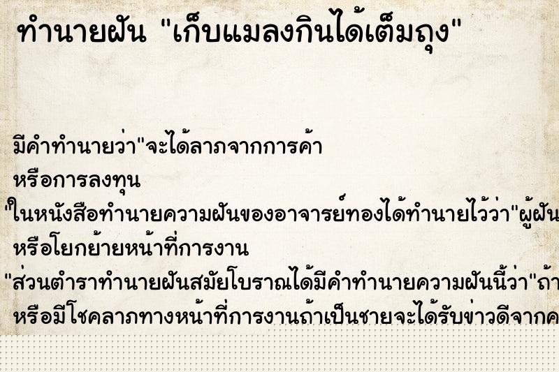 ทำนายฝัน เก็บแมลงกินได้เต็มถุง ทำนายฝัน เก็บแมลงกินได้เต็มถุง
