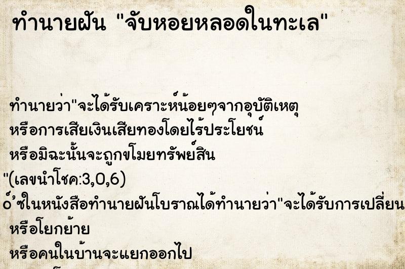 ทำนายฝันจับหอยหลอดในทะเล ทำนายฝันทำนายฝันจับหอยหลอดในทะเล