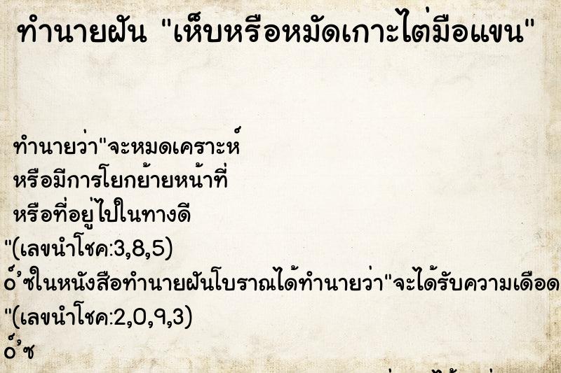 ทำนายฝัน เห็บหรือหมัดเกาะไต่มือแขน ทำนายฝัน เห็บหรือหมัดเกาะไต่มือแขน