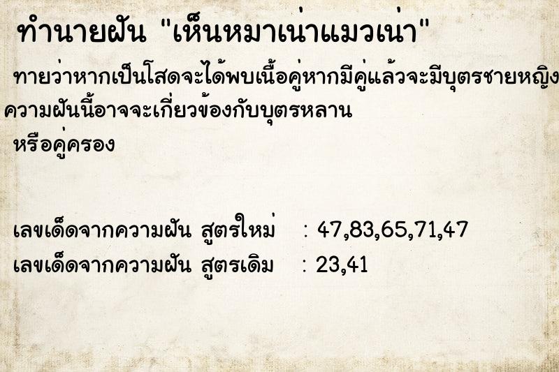 ทำนายฝันเห็นหมาเน่าแมวเน่า ทำนายฝันทำนายฝันเห็นหมาเน่าแมวเน่า