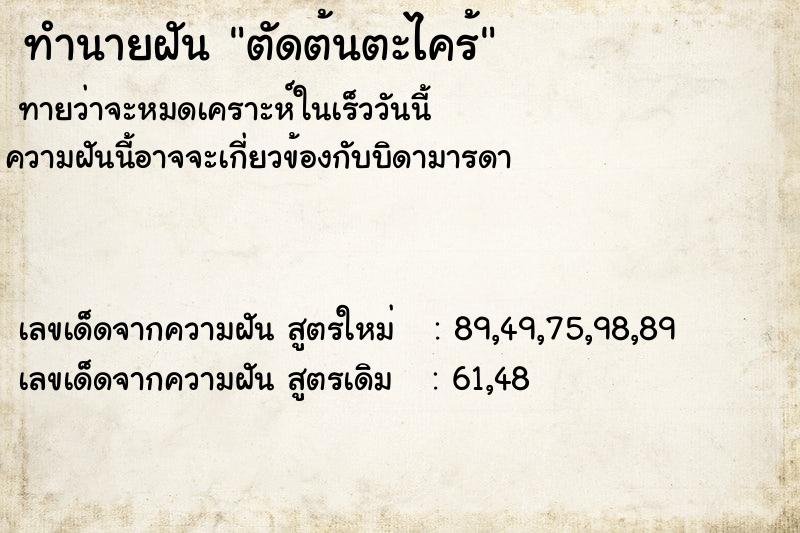 ทำนายฝันตัดต้นตะไคร้ ทำนายฝันทำนายฝันตัดต้นตะไคร้