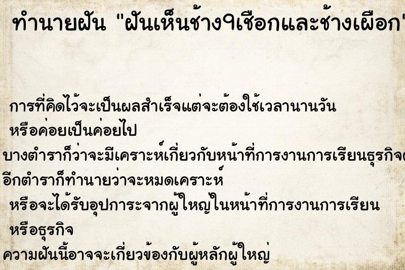 ทำนายฝันฝันเห็นช้าง9เชือกและช้างเผือก ทำนายฝันทำนายฝันฝันเห็นช้าง9เชือกและช้างเผือก