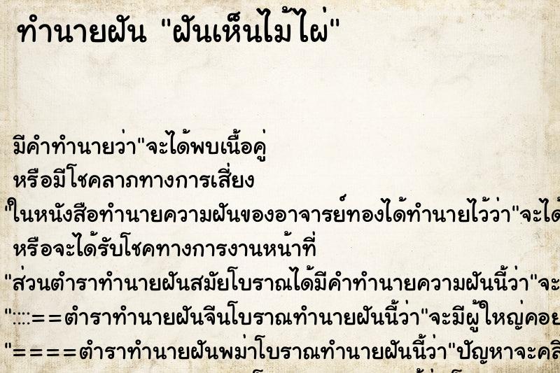 ทำนายฝัน ฝันเห็นไม้ไผ่ ทำนายฝัน ฝันเห็นไม้ไผ่