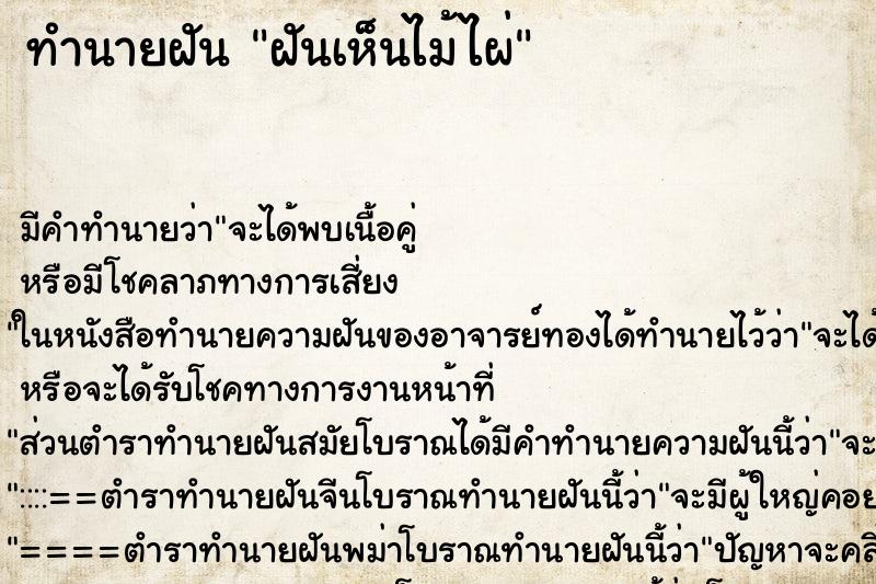 ทำนายฝัน ฝันเห็นไม้ไผ่ ตำราโบราณ แม่นที่สุดในโลก