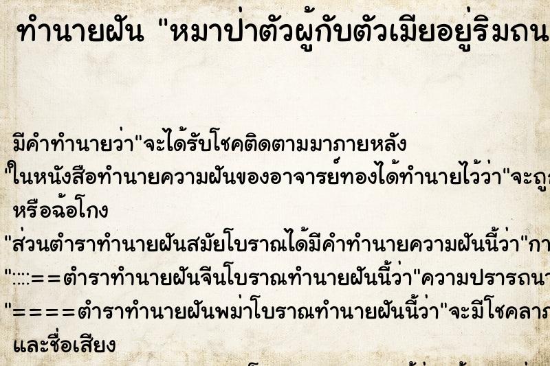 ทำนายฝันทำนายฝันหมาป่าตัวผู้กับตัวเมียอยู่ริมถนน