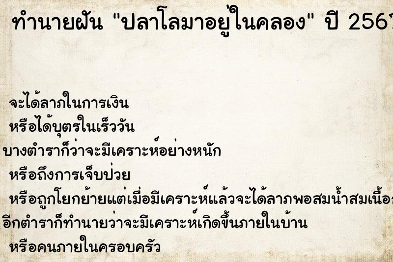 ทำนายฝัน ปลาโลมาอยู่ในคลอง ทำนายฝัน ปลาโลมาอยู่ในคลอง