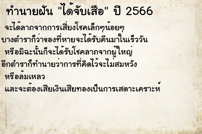 ทำนายฝันได้จับเสือ ทำนายฝันทำนายฝันได้จับเสือ