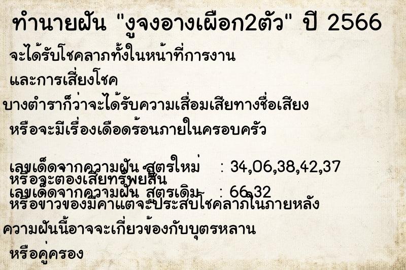 ทำนายฝันงูจงอางเผือก2ตัว ทำนายฝันทำนายฝันงูจงอางเผือก2ตัว