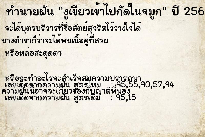 ทำนายฝันงูเขียวเข้าไปกัดในจมูก ทำนายฝันทำนายฝันงูเขียวเข้าไปกัดในจมูก