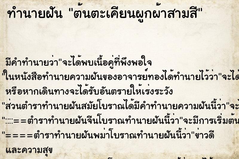 ทำนายฝันต้นตะเคียนผูกผ้าสามสี ทำนายฝันทำนายฝันต้นตะเคียนผูกผ้าสามสี