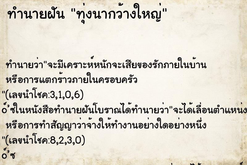 ทำนายฝัน ทุ่งนากว้างใหญ่