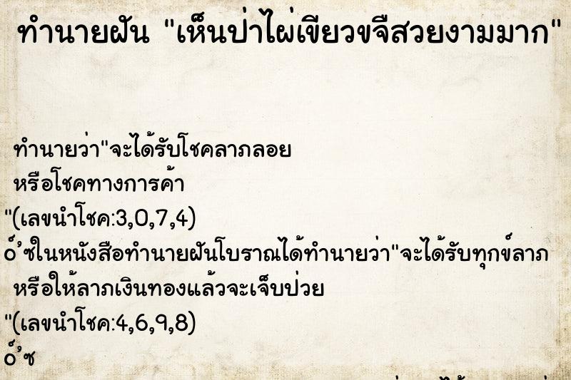 ทำนายฝัน เห็นป่าไผ่เขียวขจืสวยงามมาก ทำนายฝัน เห็นป่าไผ่เขียวขจืสวยงามมาก