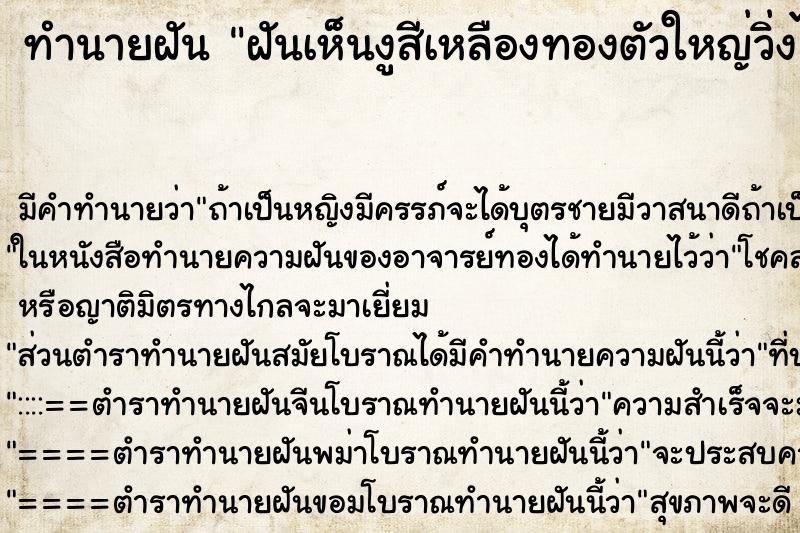 ทำนายฝัน ฝันเห็นงูสีเหลืองทองตัวใหญ่วิ่งไล่ ทำนายฝัน ฝันเห็นงูสีเหลืองทองตัวใหญ่วิ่งไล่
