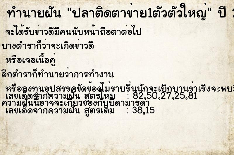 ทำนายฝันทำนายฝันปลาติดตาข่าย1ตัวตัวใหญ่