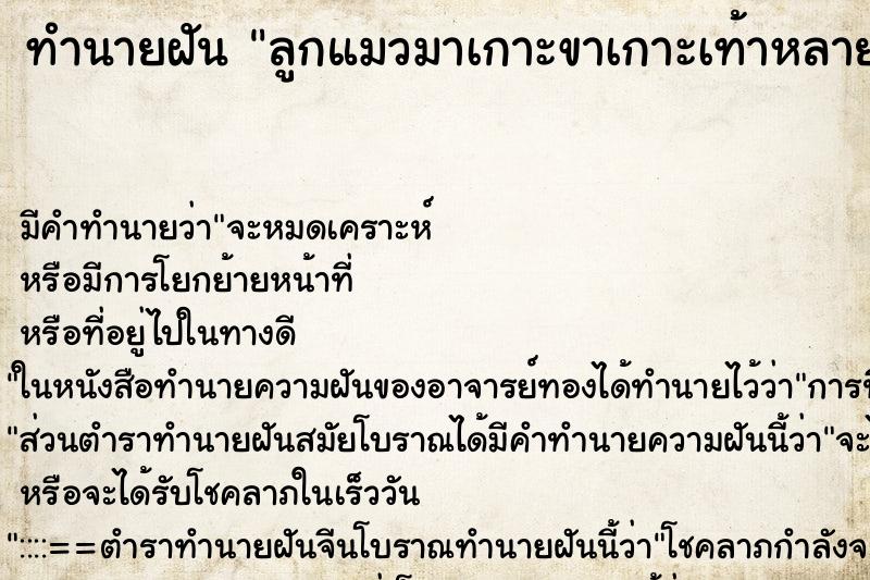ทำนายฝัน ลูกแมวมาเกาะขาเกาะเท้าหลายตัว