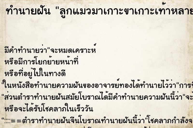 ทำนายฝัน ลูกแมวมาเกาะขาเกาะเท้าหลายตัว ตำราโบราณ แม่นที่สุดในโลก