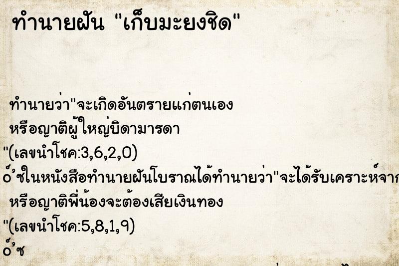 ทำนายฝันทำนายฝันเก็บมะยงชิด