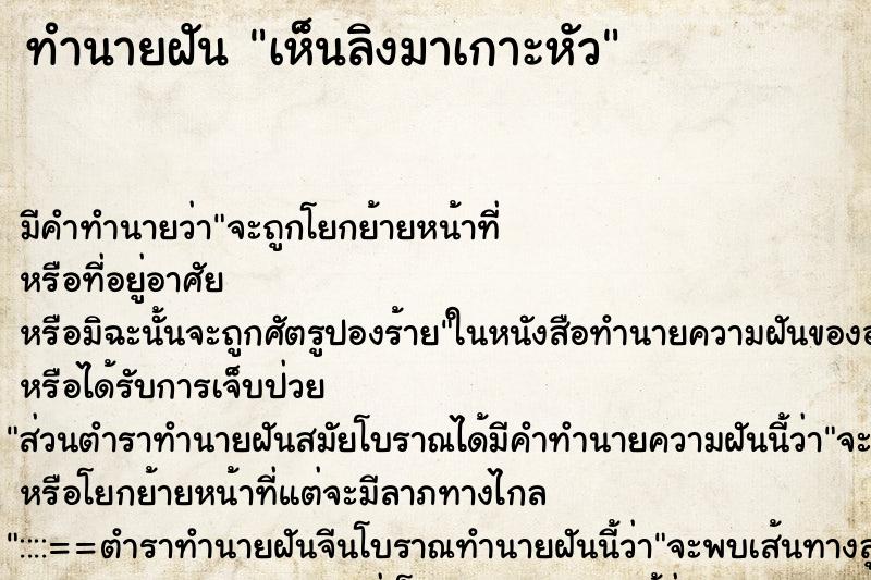 ทำนายฝัน เห็นลิงมาเกาะหัว ทำนายฝัน เห็นลิงมาเกาะหัว