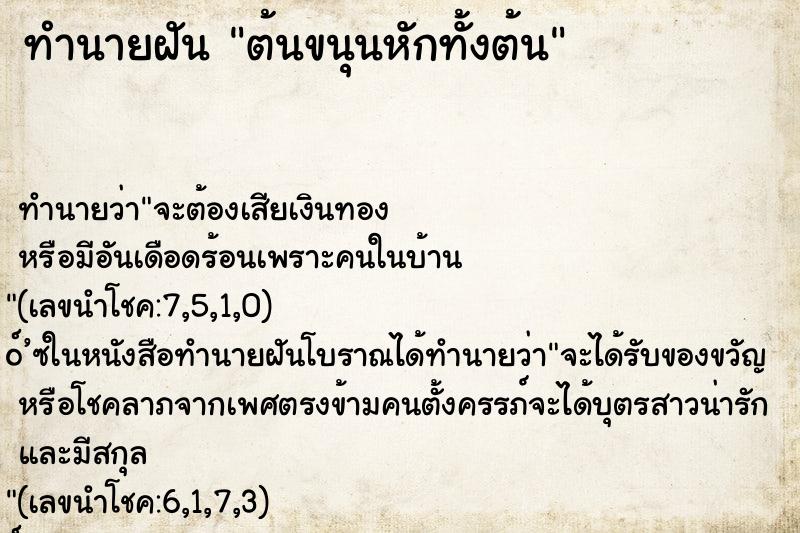 ทำนายฝัน ต้นขนุนหักทั้งต้น